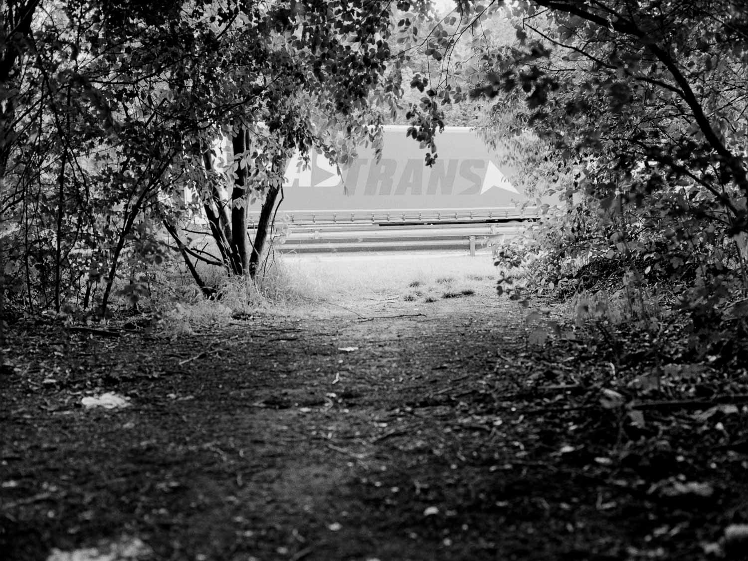 The Journey #42